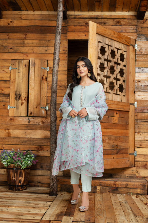 PRET STAGE 3 - SO499S