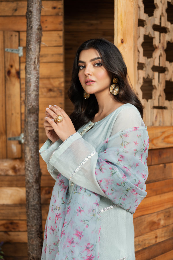 PRET STAGE 3 - SO499S