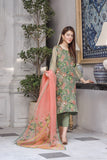 Formal Collection- SO479CG
