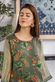 Formal Collection- SO479CG